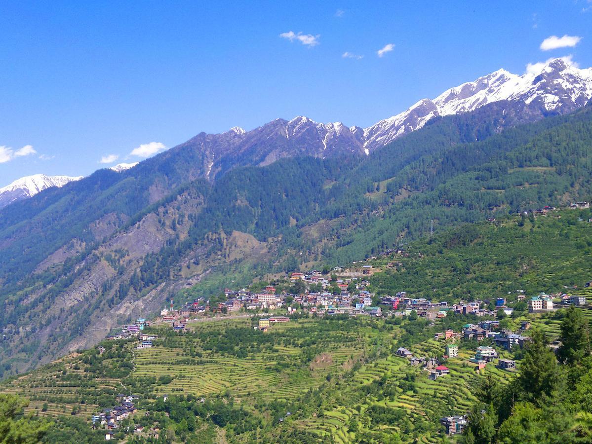 Hotel Bharmour View Brahmaur Bagian luar foto